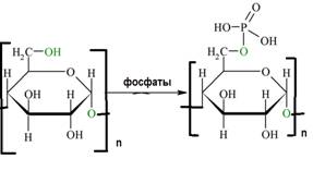 phosphoration of cellulose